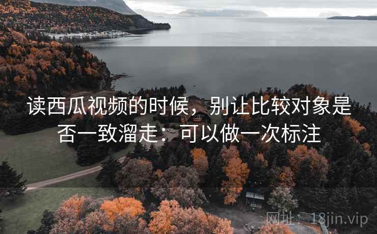 读西瓜视频的时候，别让比较对象是否一致溜走：可以做一次标注